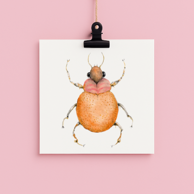 bug#0078 - card