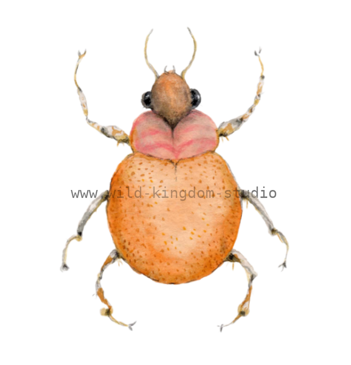 bug#0078 - card