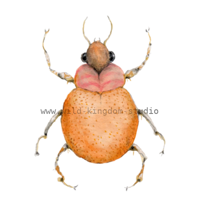 bug#0078 - card