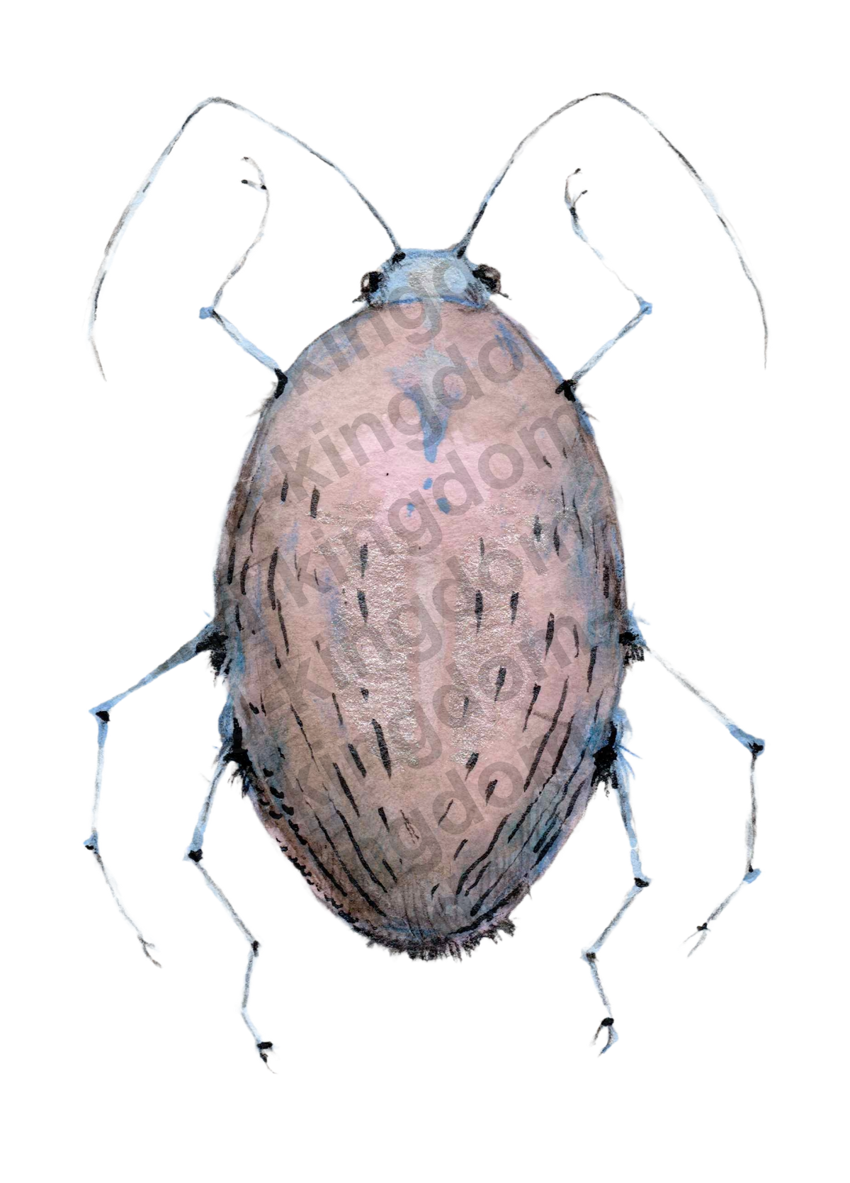 bug#0081 - card