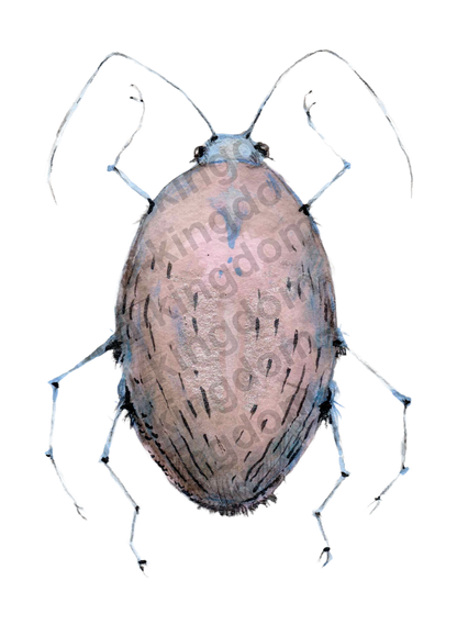 bug#0081 - card
