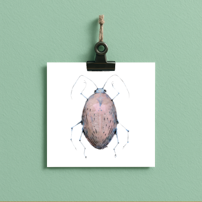 bug#0081 - card