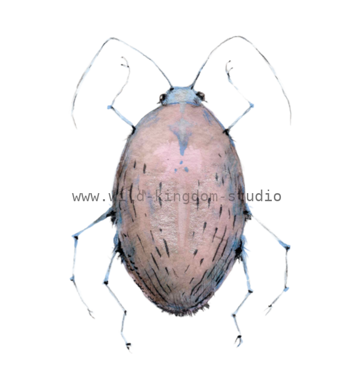 bug#0081 - card