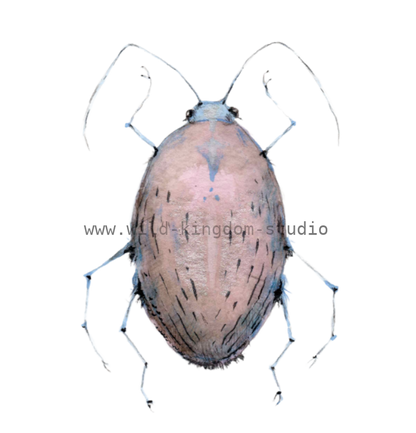 bug#0081 - card