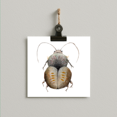 bug#0082 - card