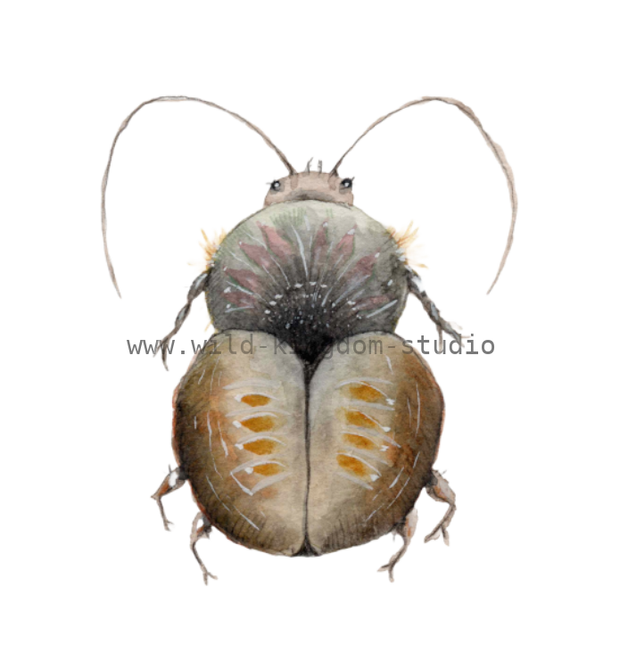bug#0082 - card