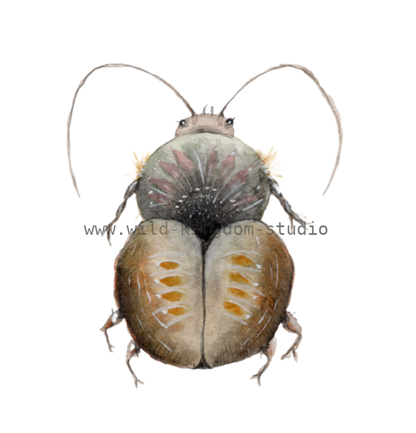 bug#0082 - card