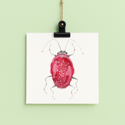 bug#0083 - card