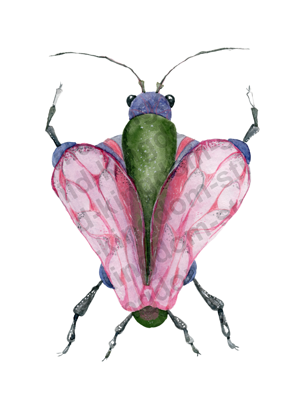 bug#0088 - card