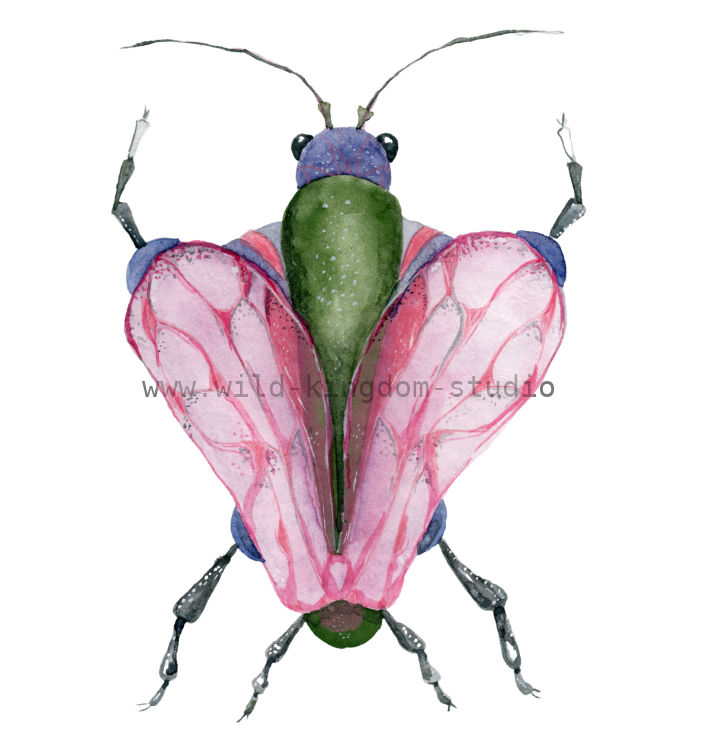 bug#0088 - card
