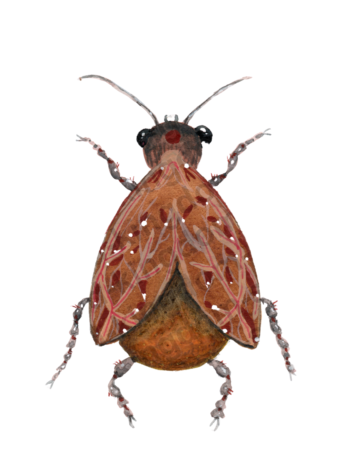 bug#0089 - card