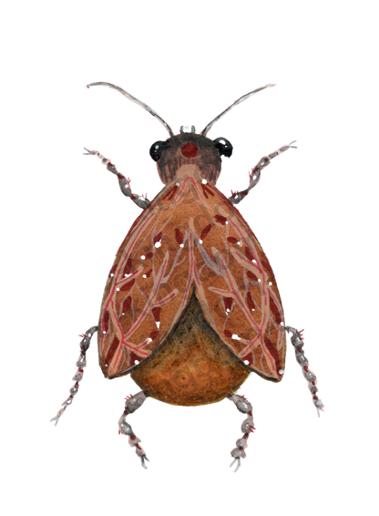bug#0089 - card