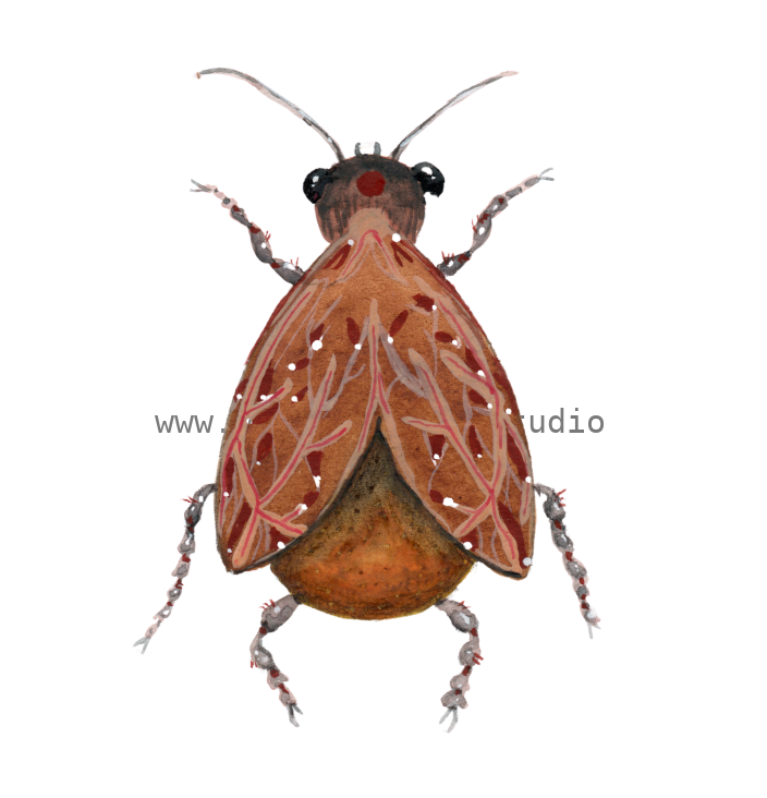 bug#0089 - card