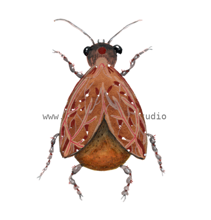 bug#0089 - card