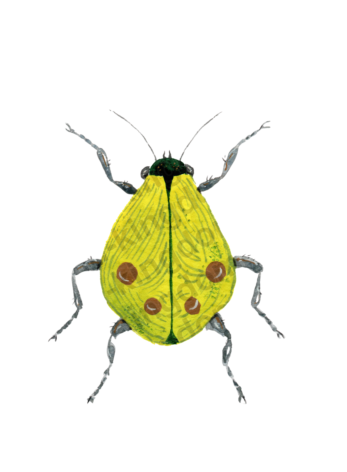 bug#0090- card