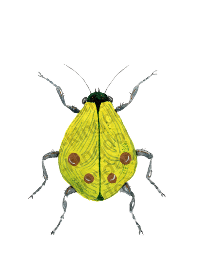 bug#0090- card