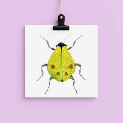 bug#0090- card