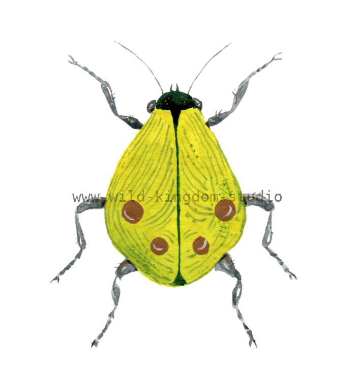 bug#0090- card