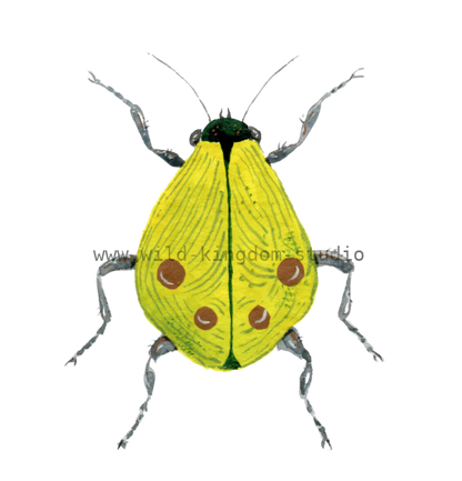 bug#0090- card