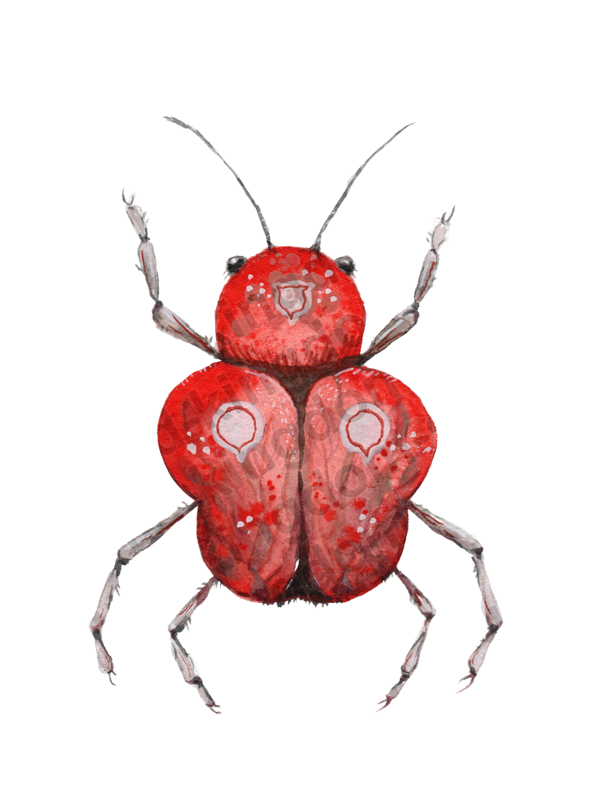 bug#0093 - card