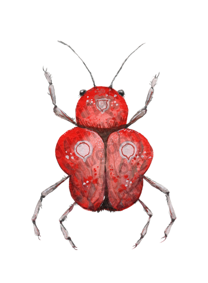 bug#0093 - card