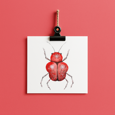 bug#0093 - card