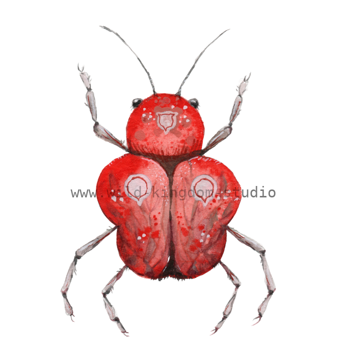 bug#0093 - card