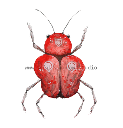 bug#0093 - card