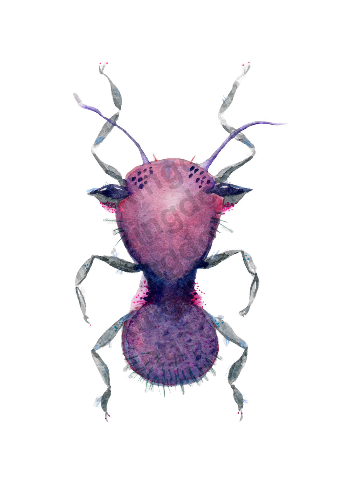 bug#0094 - card