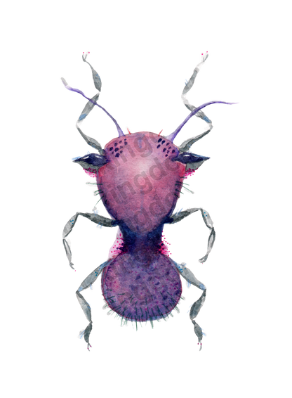 bug#0094 - card