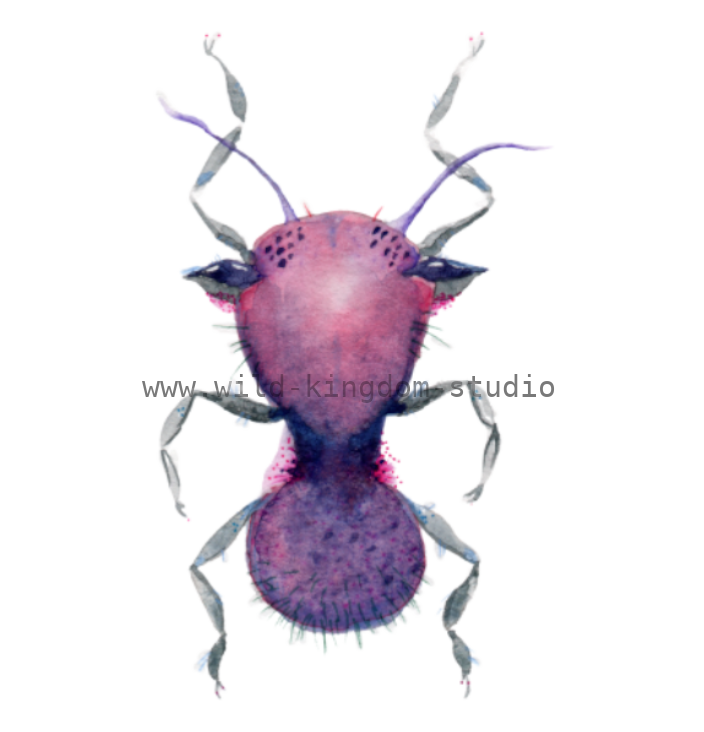 bug#0094 - card