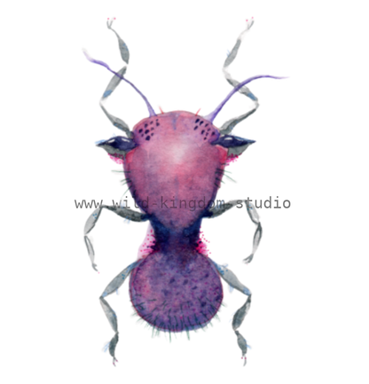 bug#0094 - card
