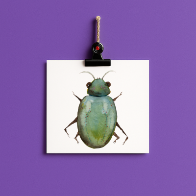 bug#0096 - card