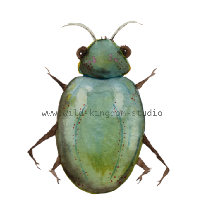 bug#0096 - card