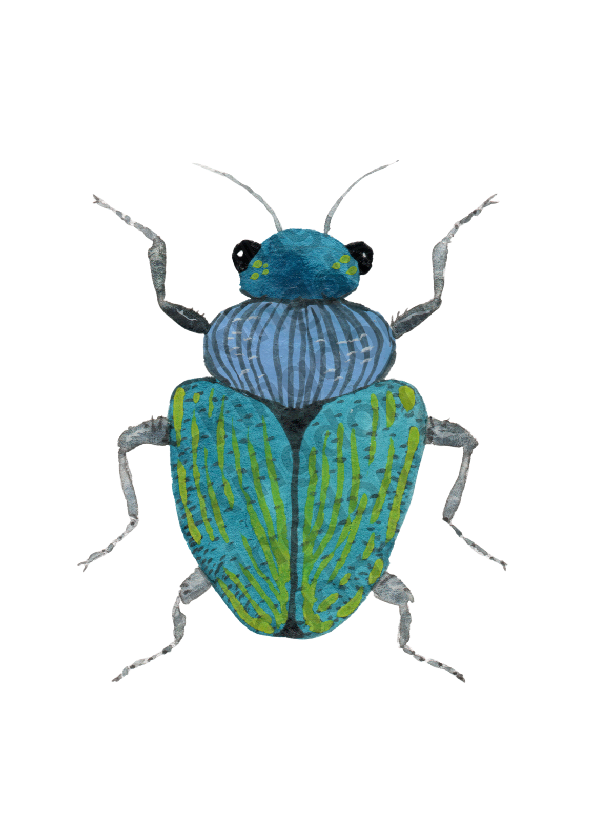 bug#0098 - card