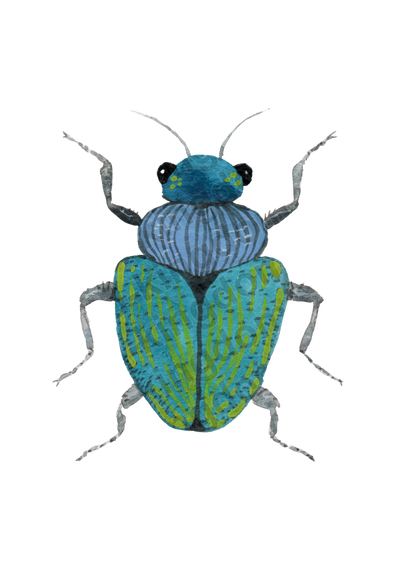bug#0098 - card
