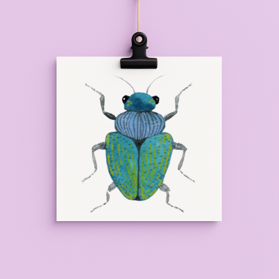 bug#0098 - card