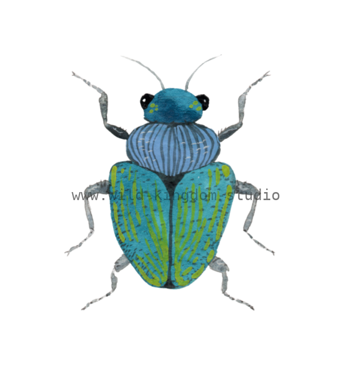 bug#0098 - card