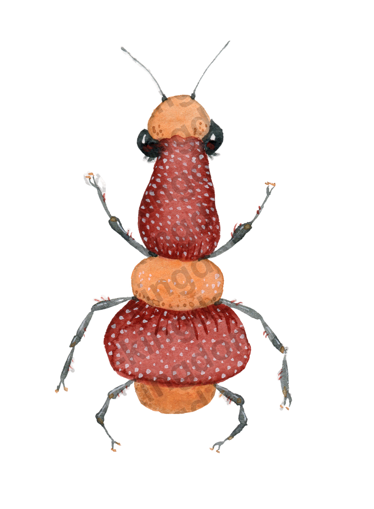 bug#0099 - card