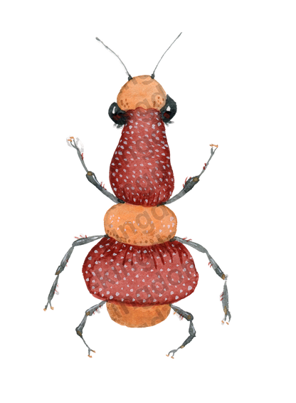 bug#0099 - card