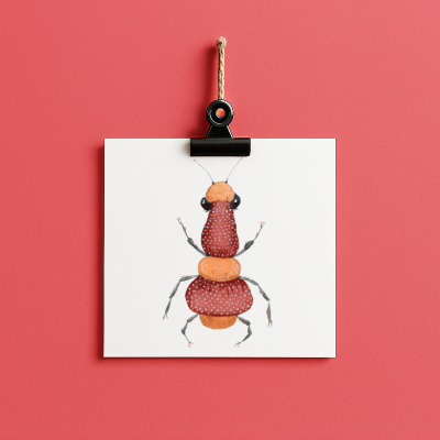 bug#0099 - card