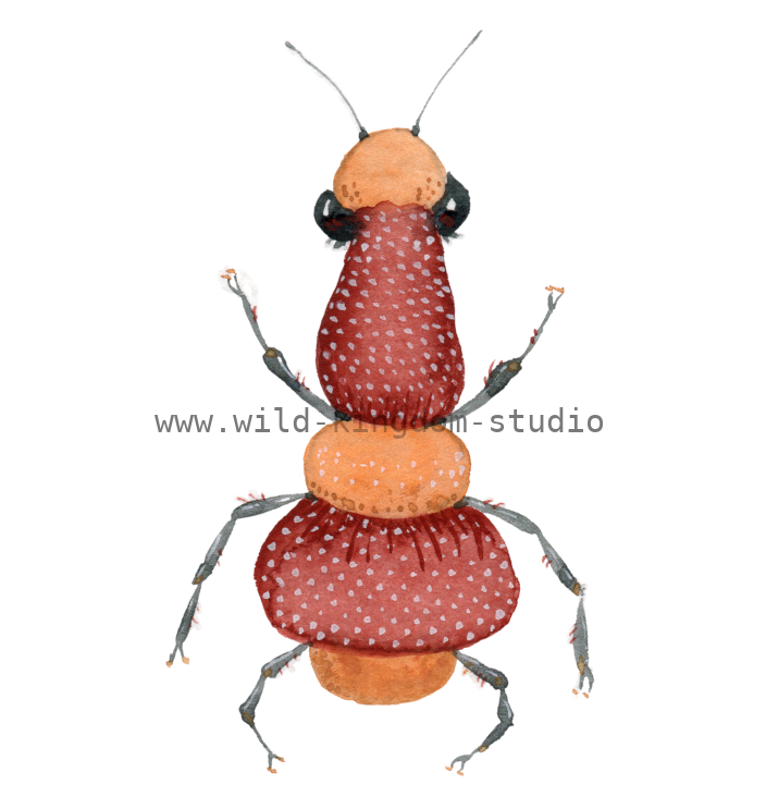 bug#0099 - card