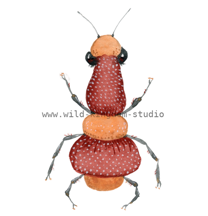 bug#0099 - card