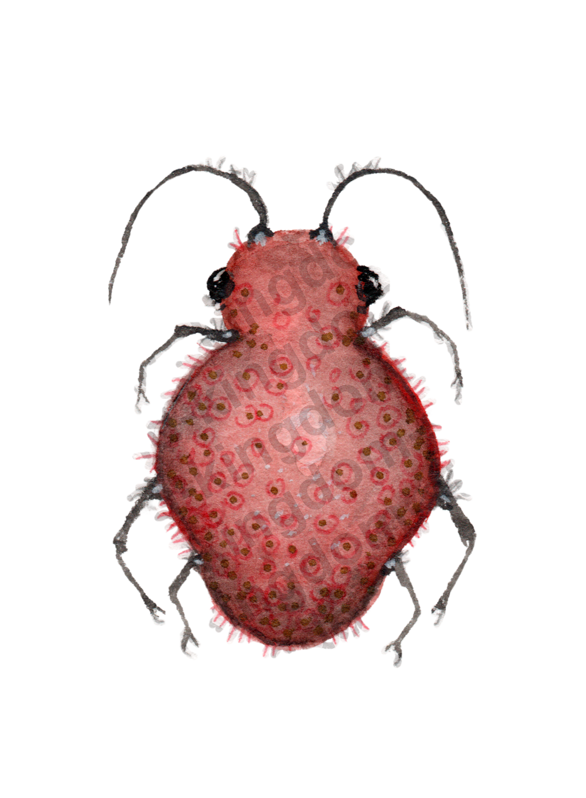 bug#0100 - card