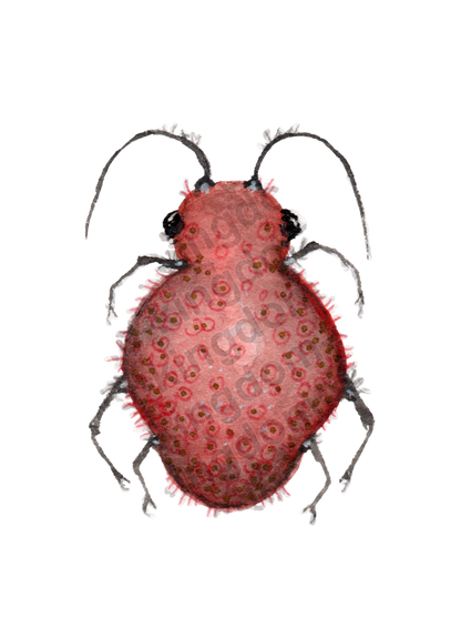 bug#0100 - card