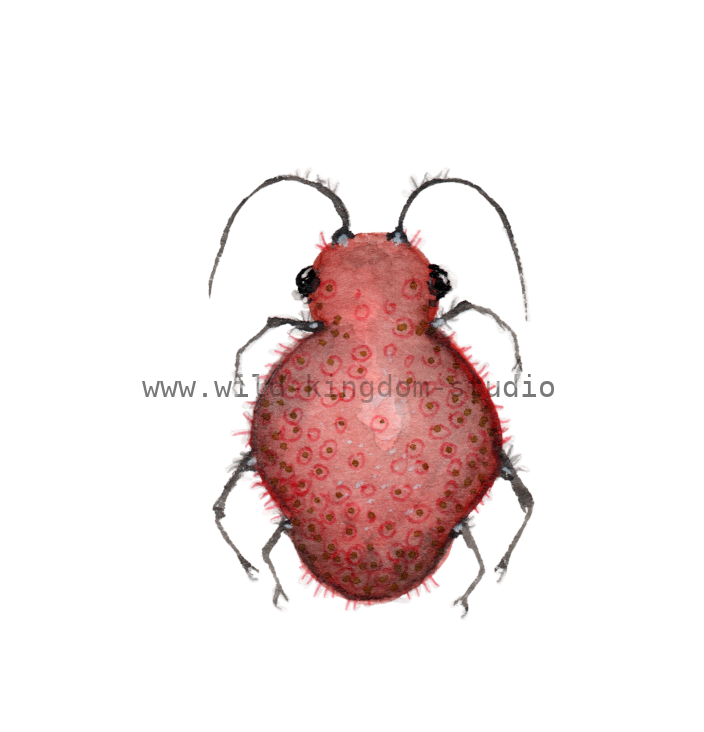 bug#0100 - card