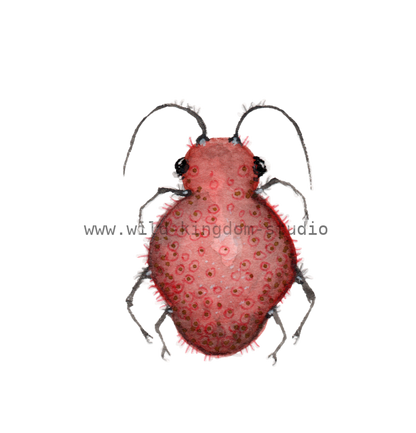 bug#0100 - card