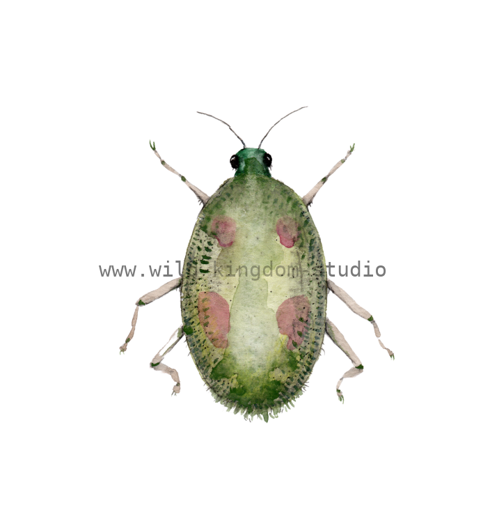 bug#0103 - card