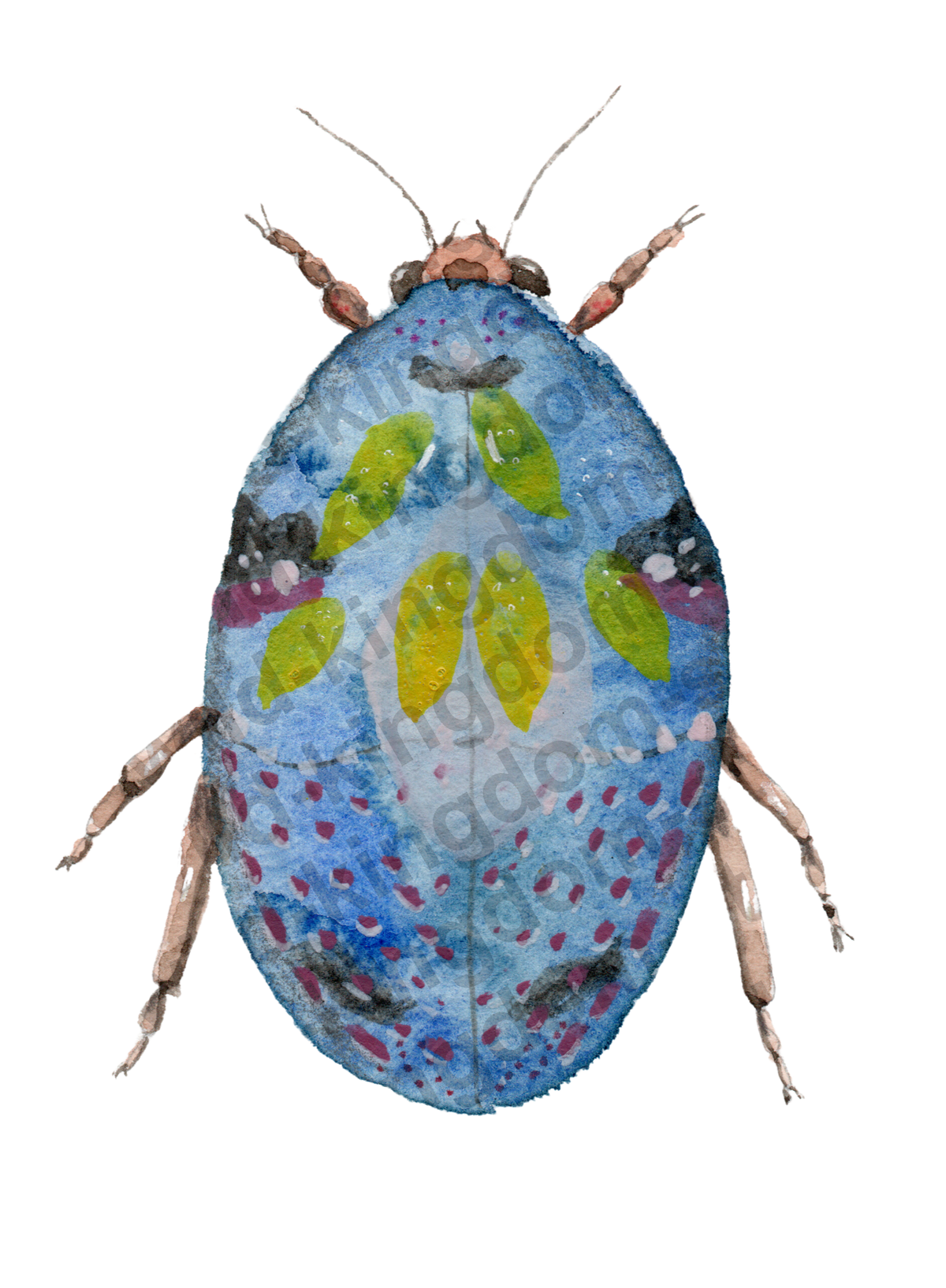 bug#0104 - card