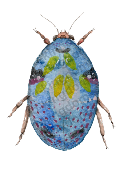 bug#0104 - card